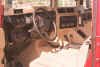1996 Hummer Inside View